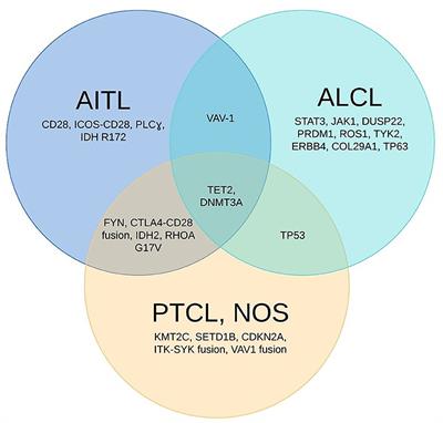 Genomics of Peripheral T-Cell Lymphoma and Its Implications for Personalized Medicine